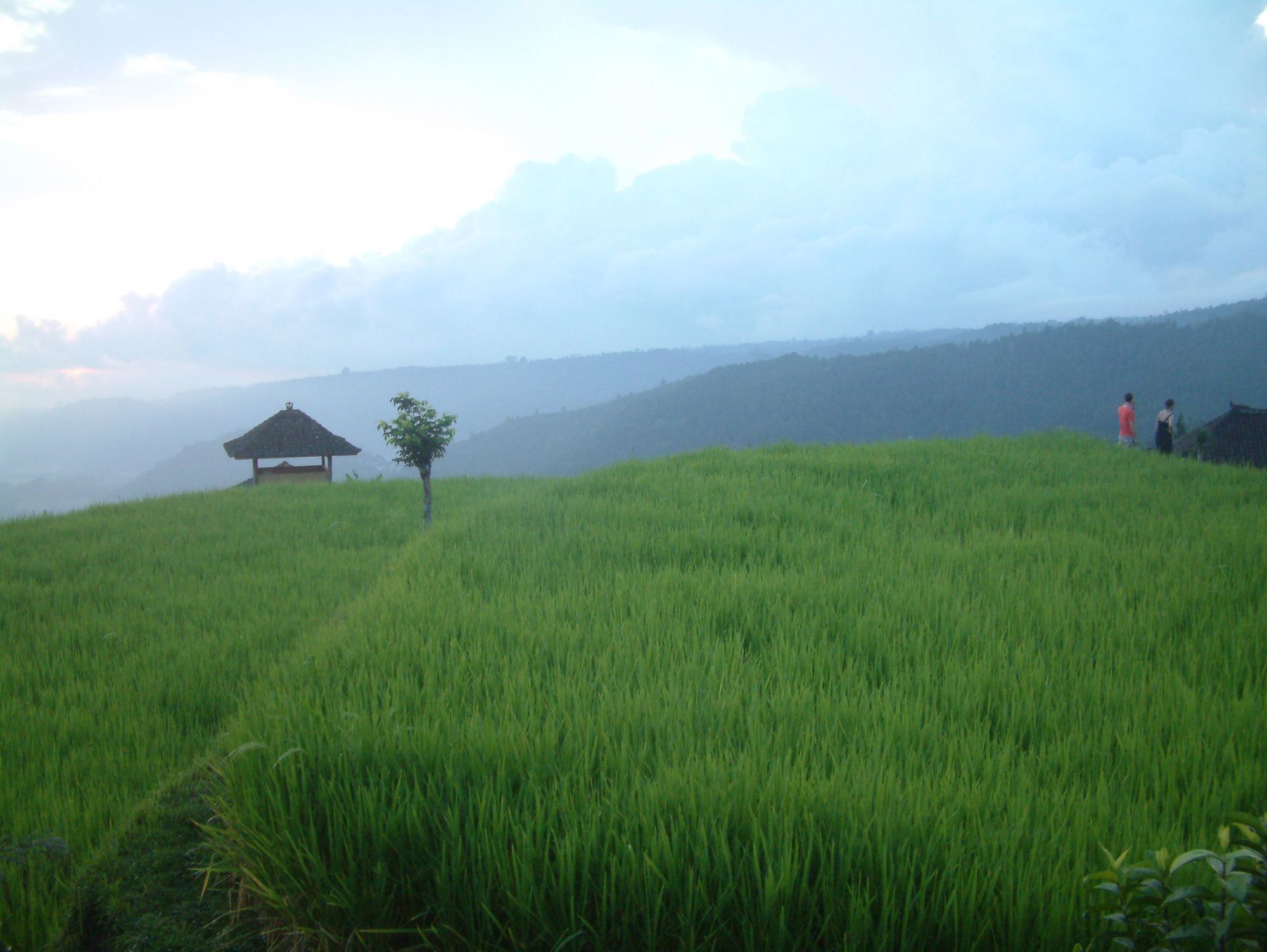 Puri Lumbung Cottages Gobleg  Exterior foto