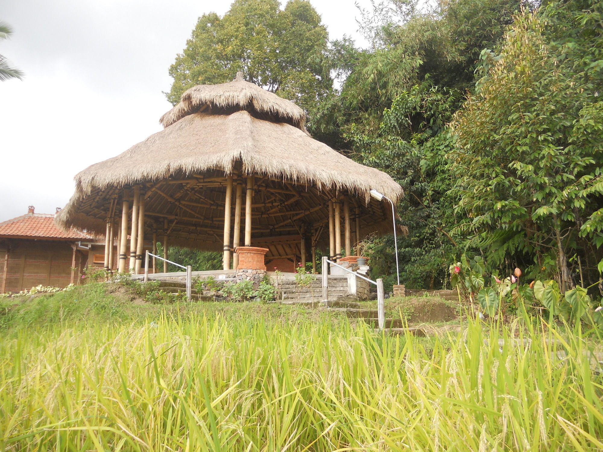 Puri Lumbung Cottages Gobleg  Exterior foto