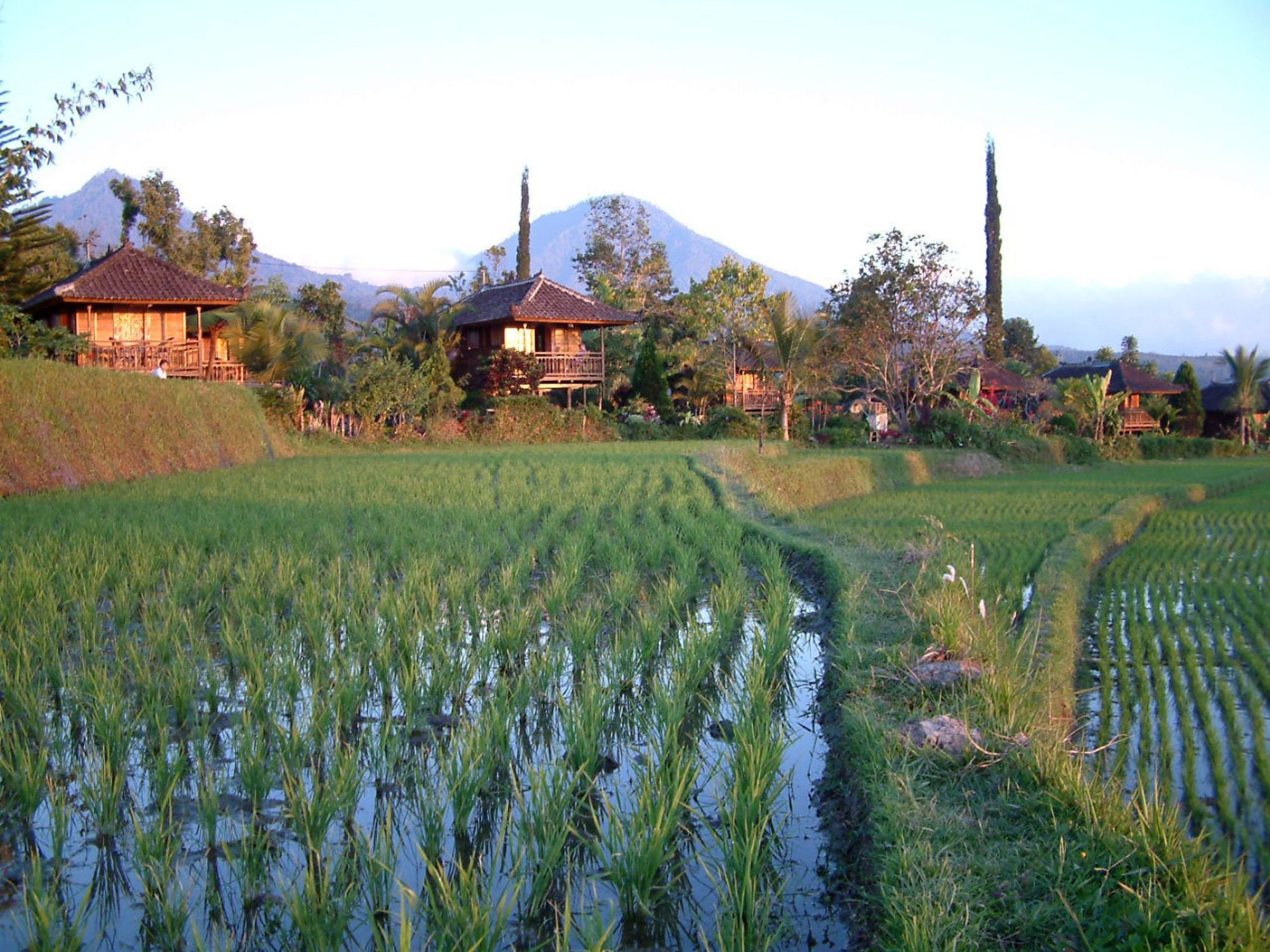 Puri Lumbung Cottages Gobleg  Exterior foto